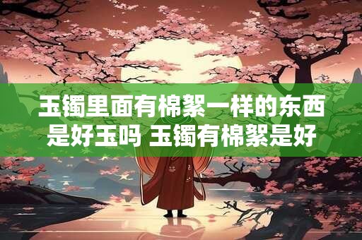 玉镯里面有棉絮一样的东西是好玉吗 玉镯有棉絮是好玉吗