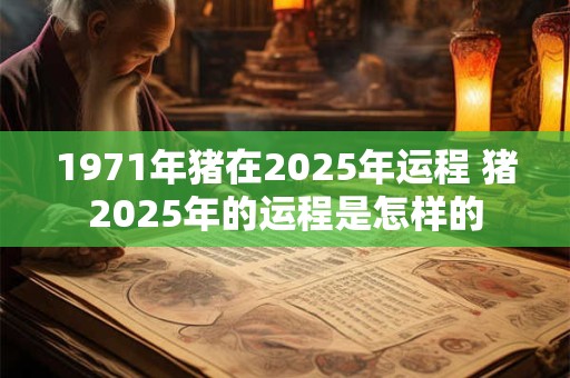 1971年猪在2025年运程 猪2025年的运程是怎样的