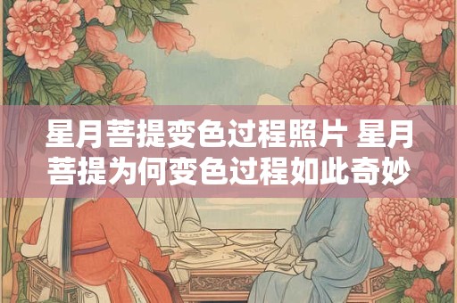 星月菩提变色过程照片 星月菩提为何变色过程如此奇妙