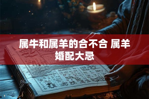 属牛和属羊的合不合 属羊婚配大忌