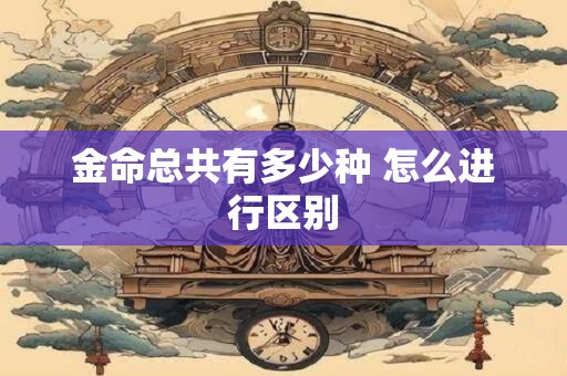 金命总共有多少种 怎么进行区别