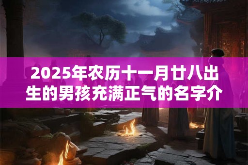 2025年农历十一月廿八出生的男孩充满正气的名字介绍