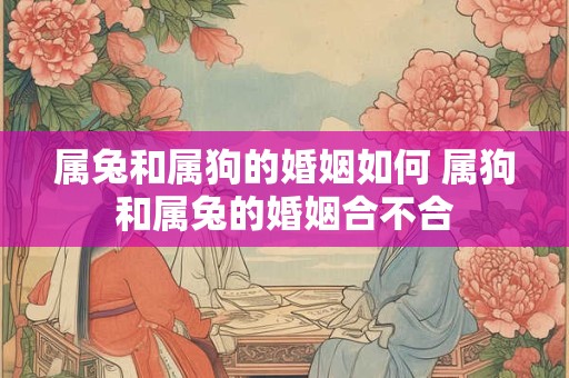 属兔和属狗的婚姻如何 属狗和属兔的婚姻合不合