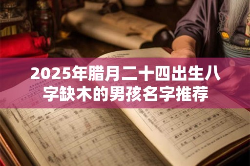 2025年腊月二十四出生八字缺木的男孩名字推荐