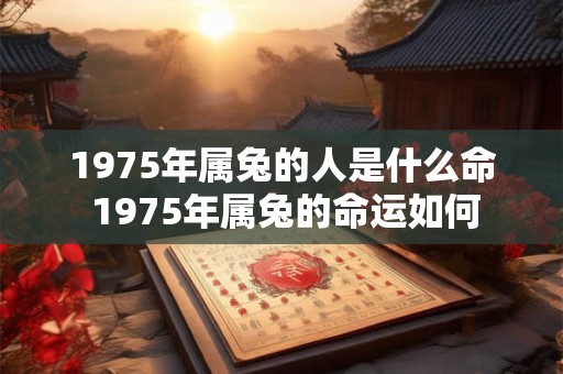 1975年属兔的人是什么命 1975年属兔的命运如何