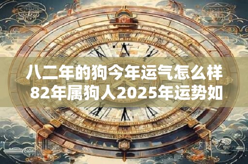 八二年的狗今年运气怎么样 82年属狗人2025年运势如何