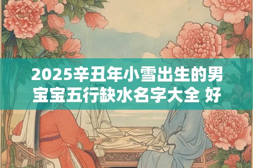 2025辛丑年小雪出生的男宝宝五行缺水名字大全 好听简单