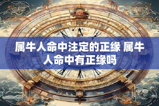 属牛人命中注定的正缘 属牛人命中有正缘吗