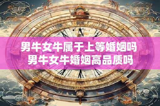 男牛女牛属于上等婚姻吗 男牛女牛婚姻高品质吗