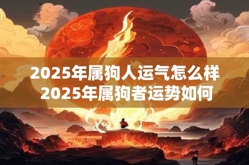 2025年属狗人运气怎么样 2025年属狗者运势如何