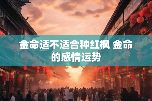 金命适不适合种红枫 金命的感情运势