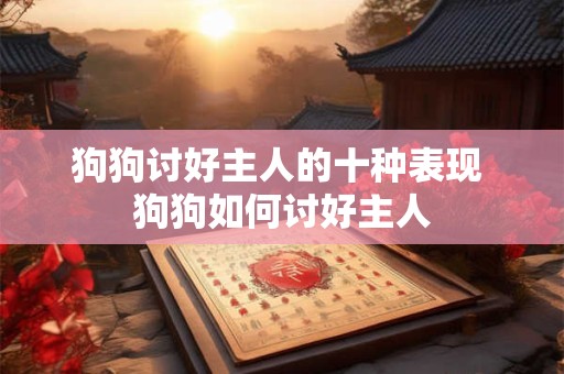 狗狗讨好主人的十种表现 狗狗如何讨好主人