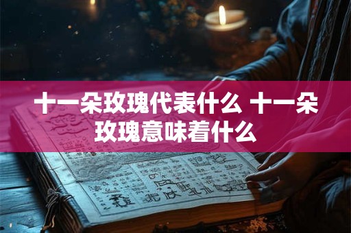 十一朵玫瑰代表什么 十一朵玫瑰意味着什么