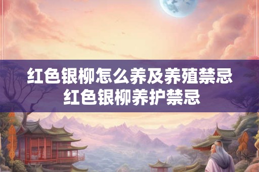 红色银柳怎么养及养殖禁忌 红色银柳养护禁忌
