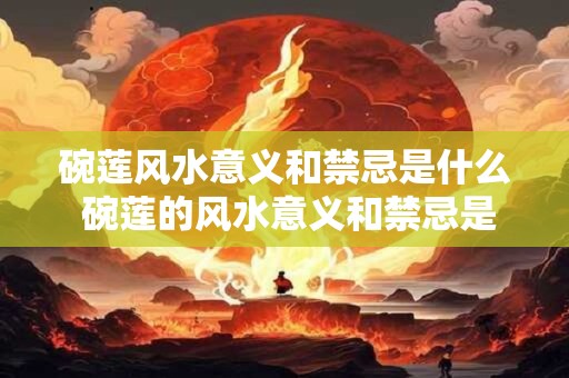 碗莲风水意义和禁忌是什么 碗莲的风水意义和禁忌是什么