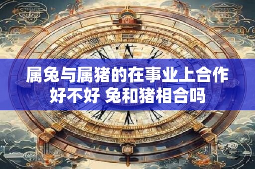 属兔与属猪的在事业上合作好不好 兔和猪相合吗