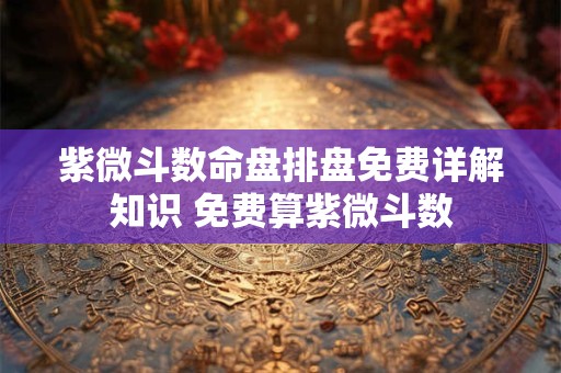 紫微斗数命盘排盘免费详解知识 免费算紫微斗数