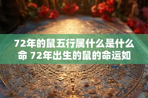 72年的鼠五行属什么是什么命 72年出生的鼠的命运如何