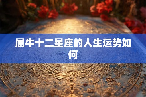 属牛十二星座的人生运势如何