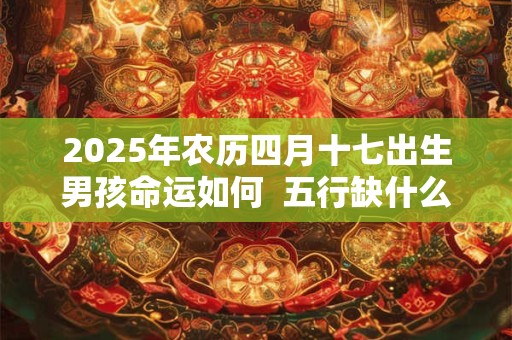 2025年农历四月十七出生男孩命运如何  五行缺什么