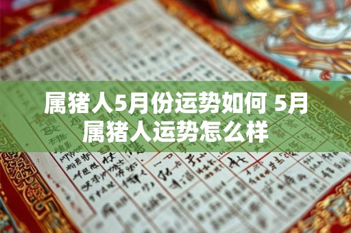 属猪人5月份运势如何 5月属猪人运势怎么样