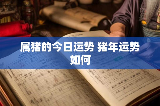 属猪的今日运势 猪年运势如何