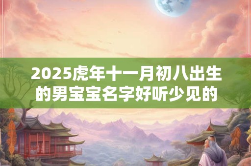 2025虎年十一月初八出生的男宝宝名字好听少见的