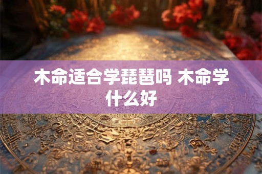 木命适合学琵琶吗 木命学什么好