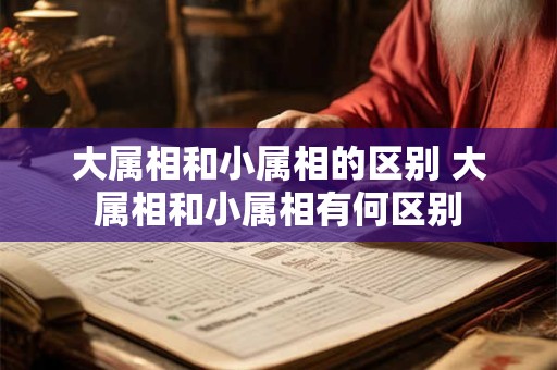 大属相和小属相的区别 大属相和小属相有何区别