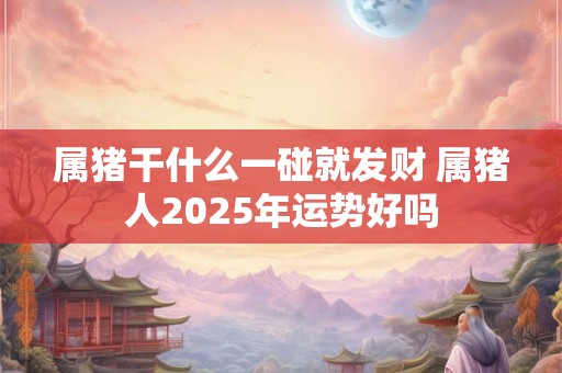 属猪干什么一碰就发财 属猪人2025年运势好吗