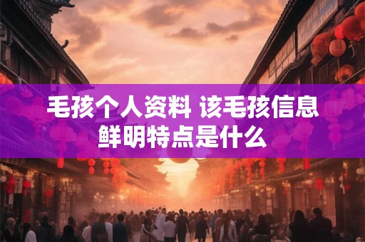 毛孩个人资料 该毛孩信息鲜明特点是什么