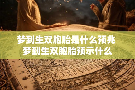 梦到生双胞胎是什么预兆 梦到生双胞胎预示什么