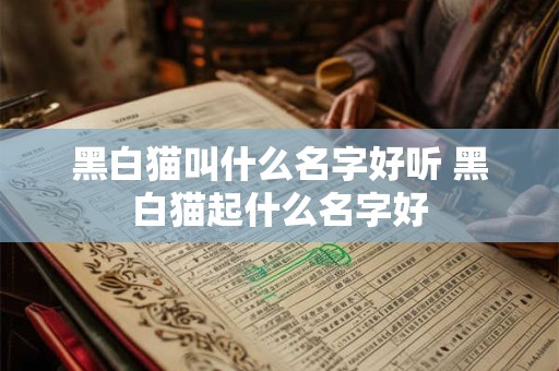 黑白猫叫什么名字好听 黑白猫起什么名字好