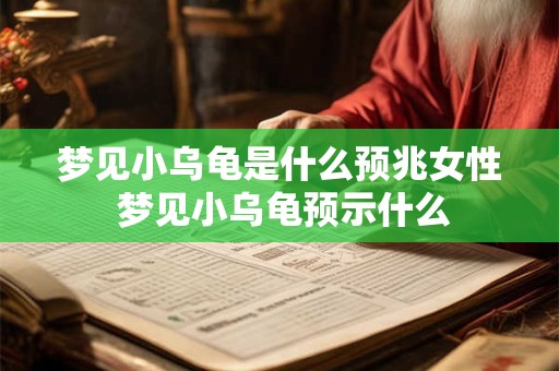 梦见小乌龟是什么预兆女性 梦见小乌龟预示什么