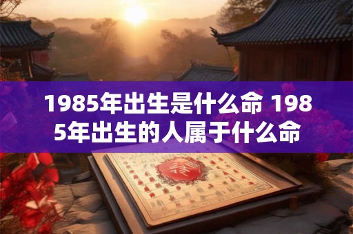 1985年出生是什么命 1985年出生的人属于什么命