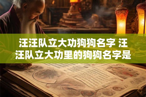 汪汪队立大功狗狗名字 汪汪队立大功里的狗狗名字是什么