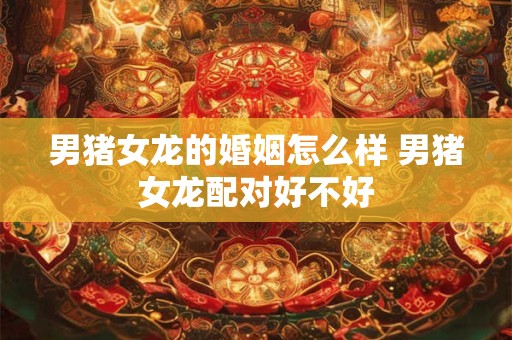 男猪女龙的婚姻怎么样 男猪女龙配对好不好