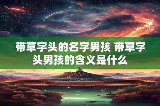 带草字头的名字男孩 带草字头男孩的含义是什么