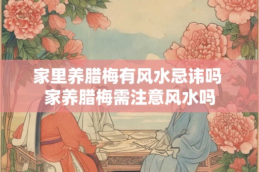 家里养腊梅有风水忌讳吗 家养腊梅需注意风水吗