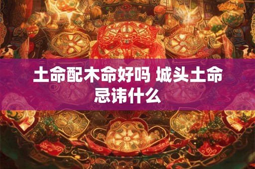 土命配木命好吗 城头土命忌讳什么