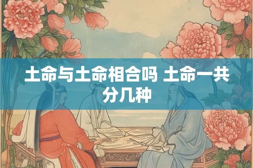 土命与土命相合吗 土命一共分几种
