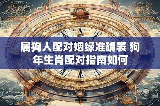 属狗人配对姻缘准确表 狗年生肖配对指南如何