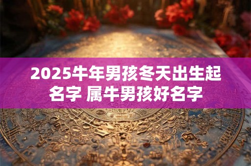 2025牛年男孩冬天出生起名字 属牛男孩好名字
