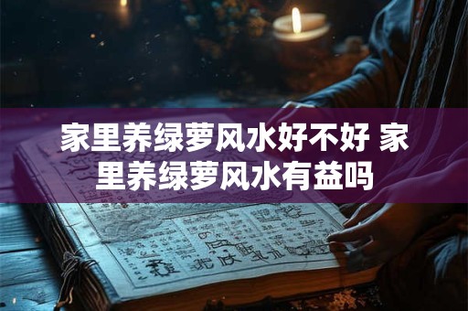 家里养绿萝风水好不好 家里养绿萝风水有益吗