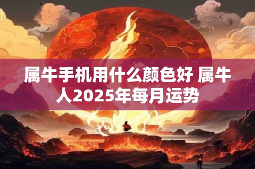 属牛手机用什么颜色好 属牛人2025年每月运势