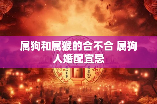 属狗和属猴的合不合 属狗人婚配宜忌