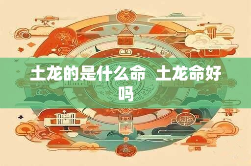 土龙的是什么命  土龙命好吗