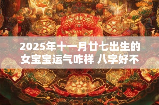 2025年十一月廿七出生的女宝宝运气咋样 八字好不好