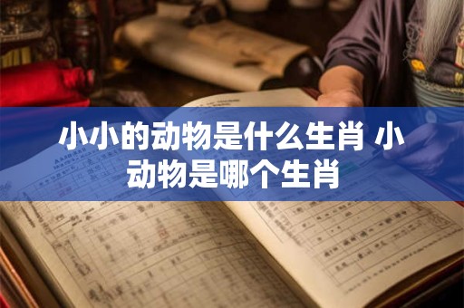 小小的动物是什么生肖 小动物是哪个生肖
