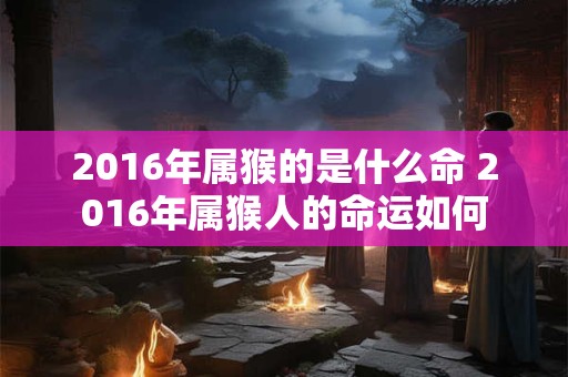 2016年属猴的是什么命 2016年属猴人的命运如何